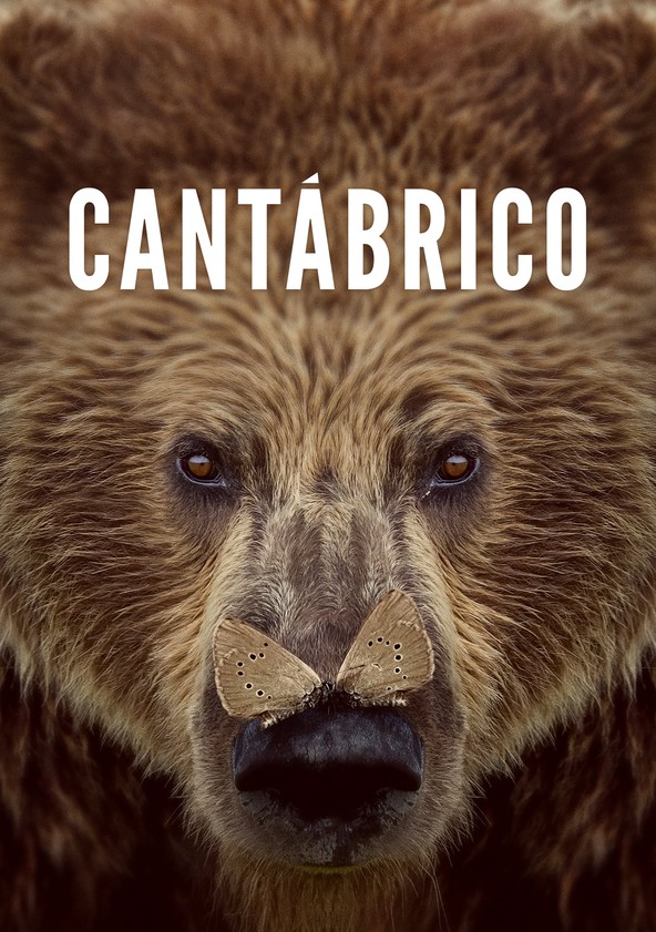 película Cantábrico