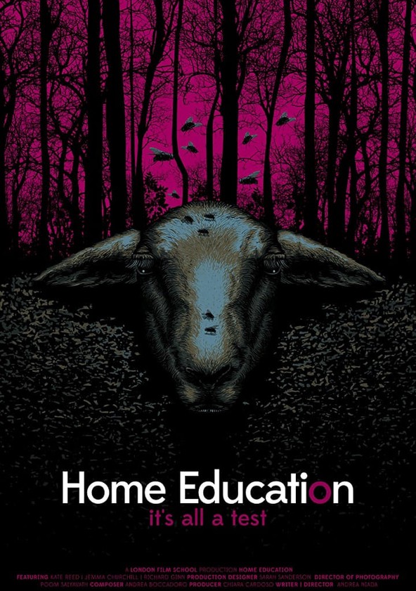 dónde ver película Home Education