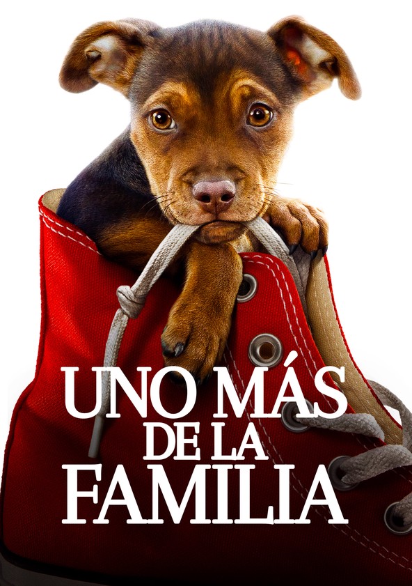 dónde ver película Uno más de la familia