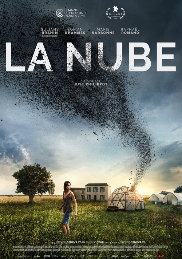 dónde ver película La nube