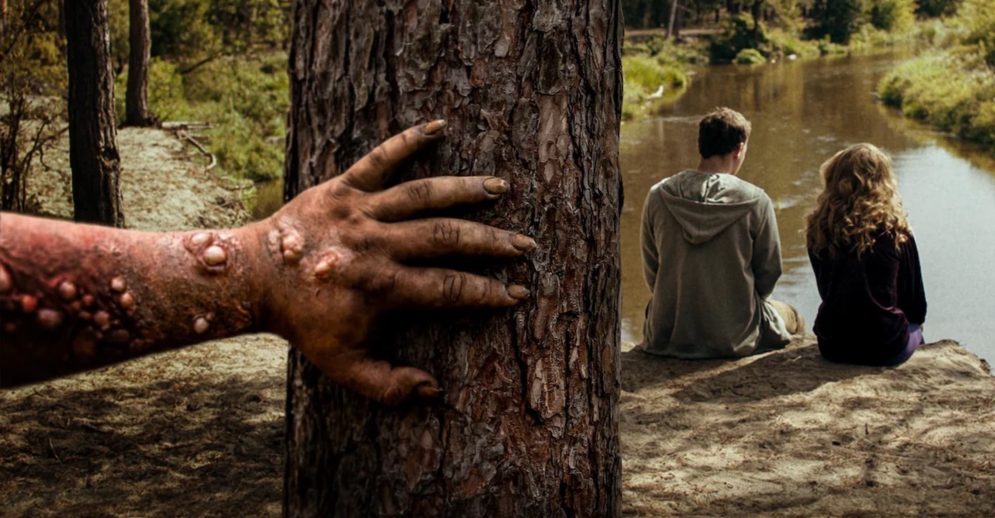 dónde ver película Nadie duerme en el bosque esta noche