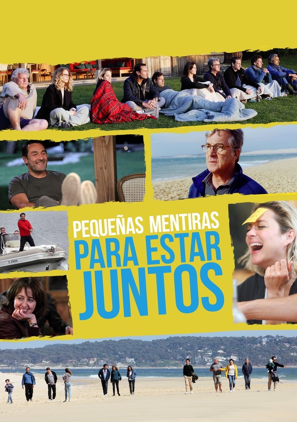 dónde ver película Pequeñas mentiras para estar juntos