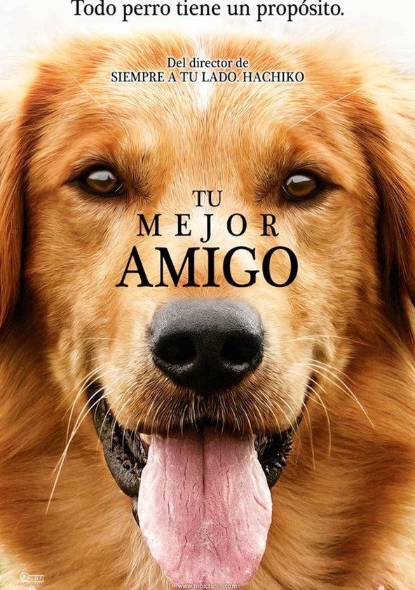 película Tu mejor amigo