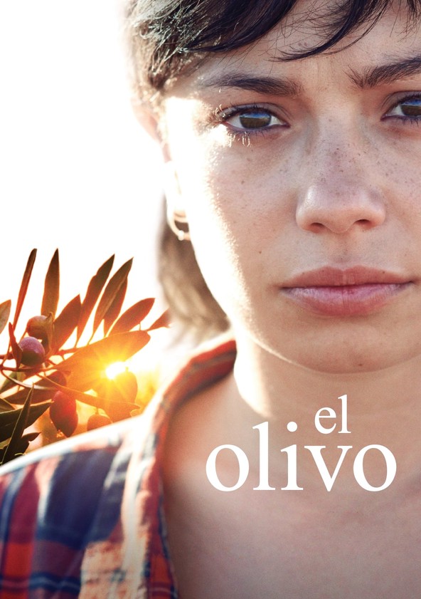 película El olivo