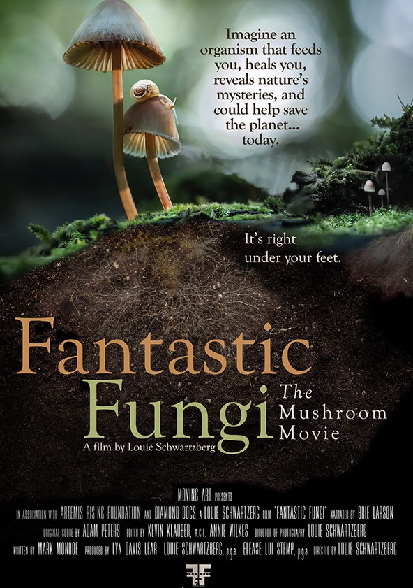 película Fantastic Fungi