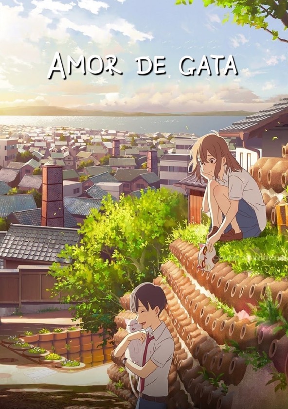 Película Amor De Gata – Sinopsis Críticas Y Curiosidades – Sensei Anime