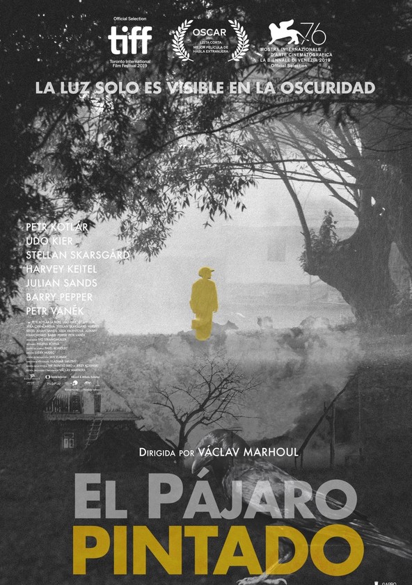 película El pájaro pintado