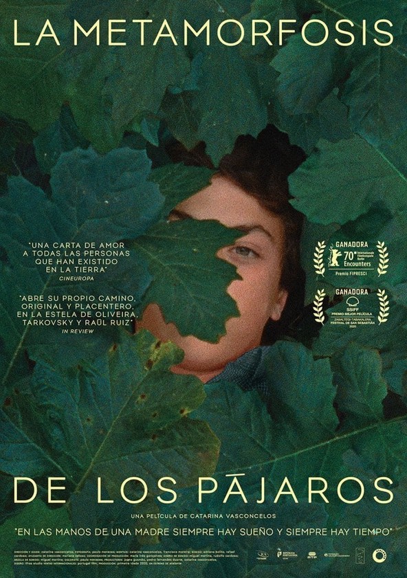 película La metamorfosis de los pájaros