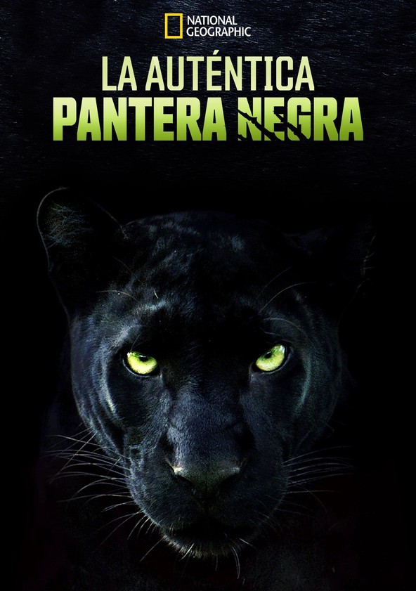 película The Real Black Panther