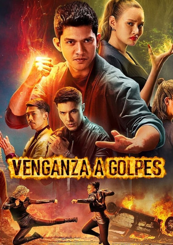 película Venganza a golpes