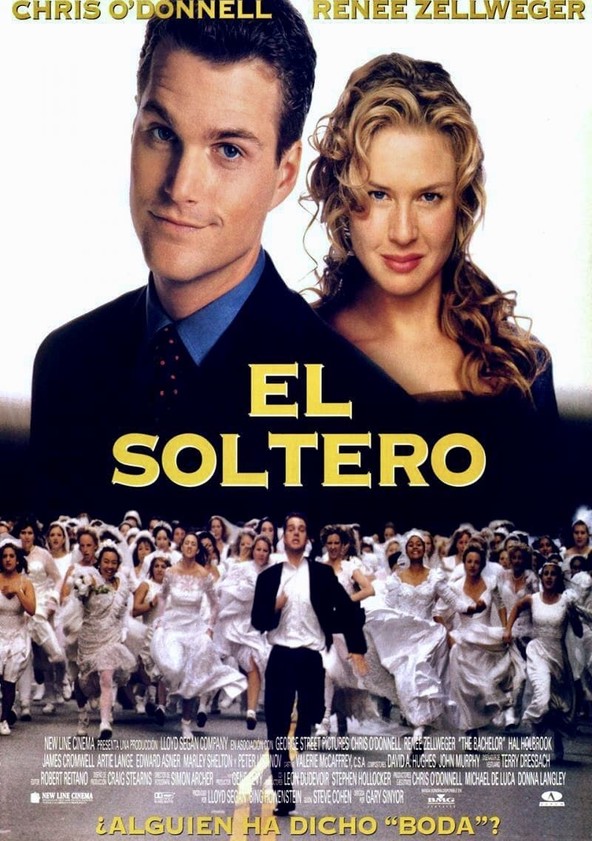 dónde ver película El soltero