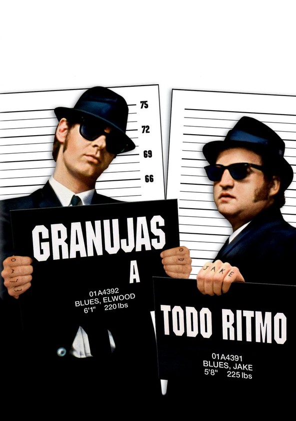 dónde ver película Granujas a todo ritmo (The Blues Brothers)