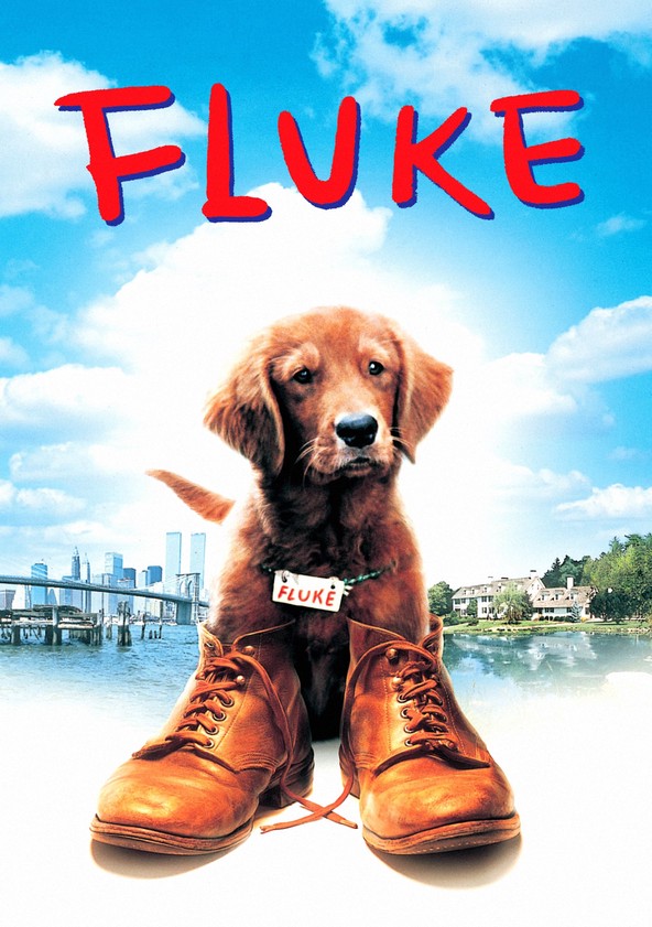 película Mi amigo Fluke