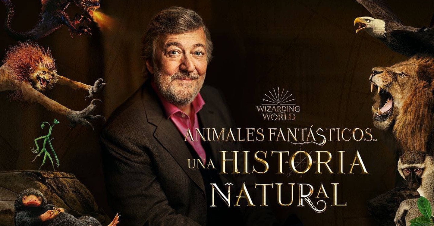 dónde ver película Animales fantásticos: Una historia natural