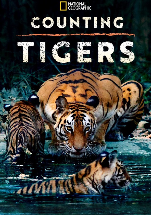 película Counting Tigers