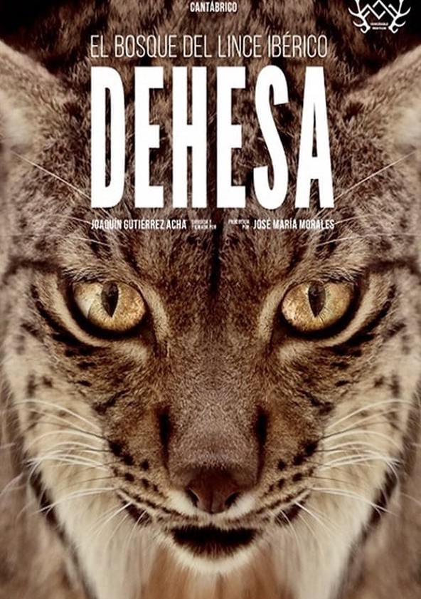 película Dehesa, el bosque del lince ibérico