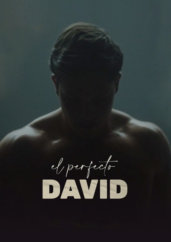 película El perfecto David