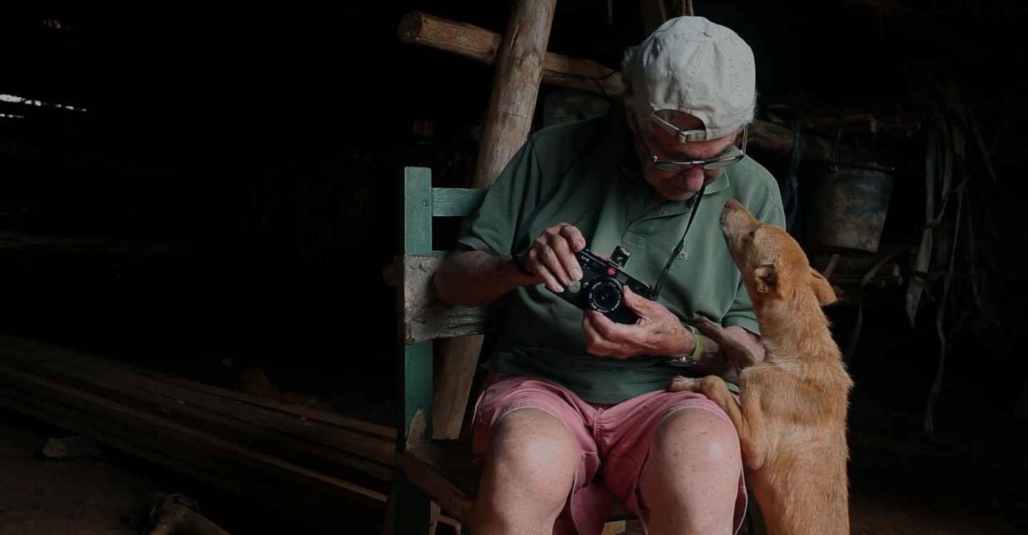 dónde ver película Elliott Erwitt. El silencio no está mal