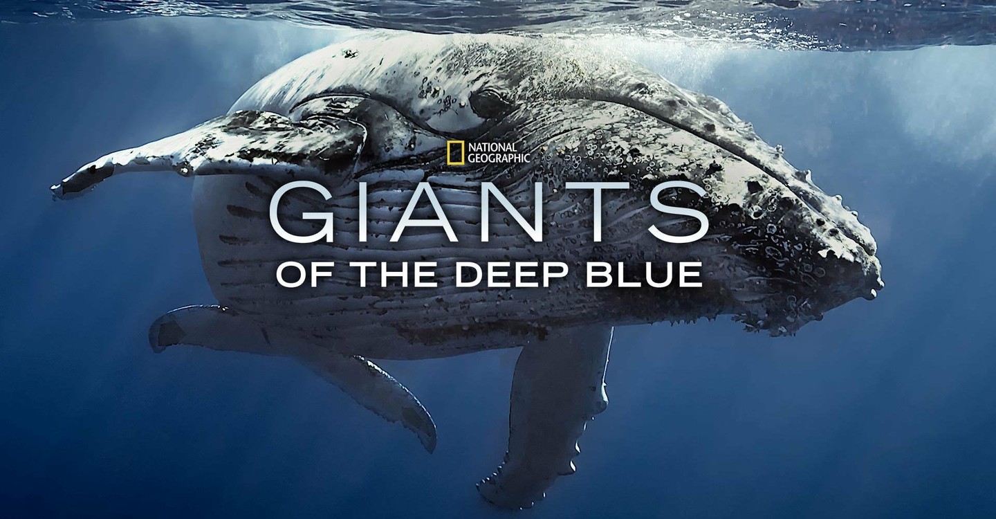 dónde ver película Giants of the Deep Blue