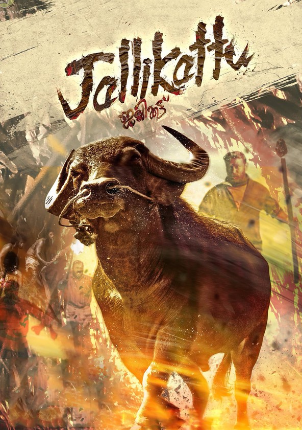 película Jallikattu