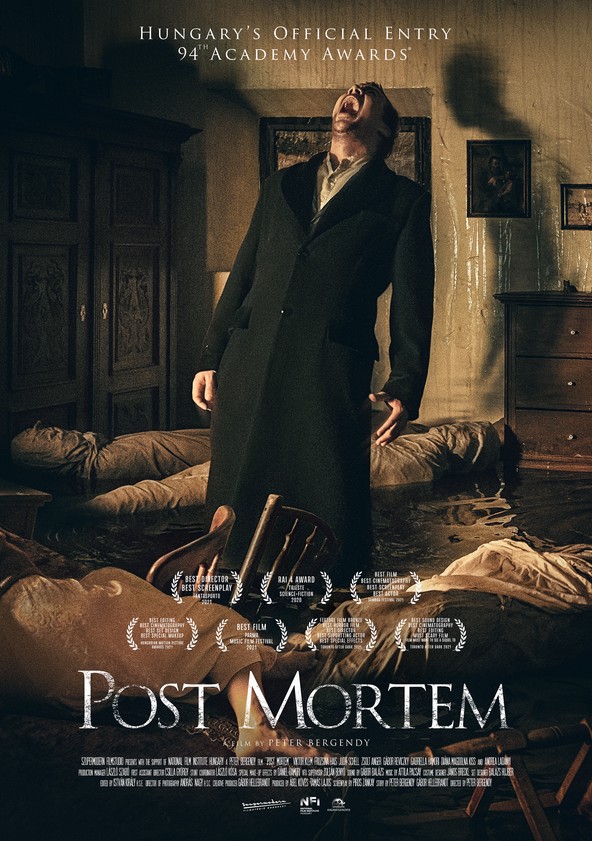 dónde ver película Post Mortem