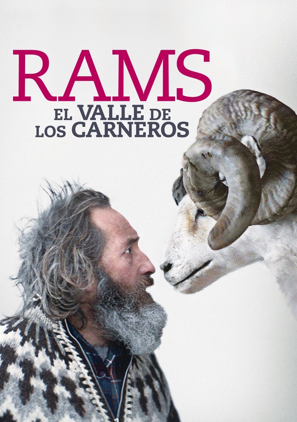 película Rams (El valle de los carneros)