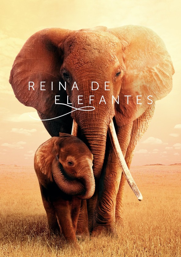 película Reina de elefantes