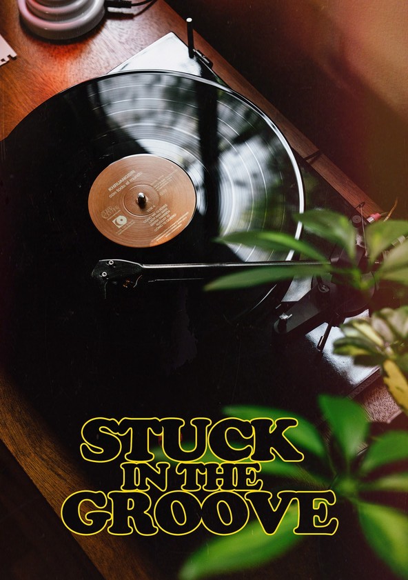 película Stuck in the Groove (A Vinyl Documentary)