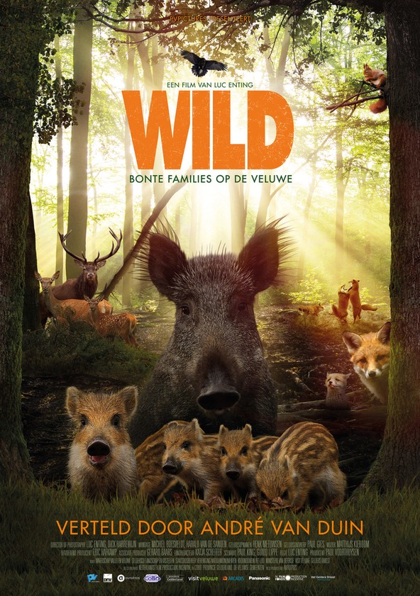 película Wild