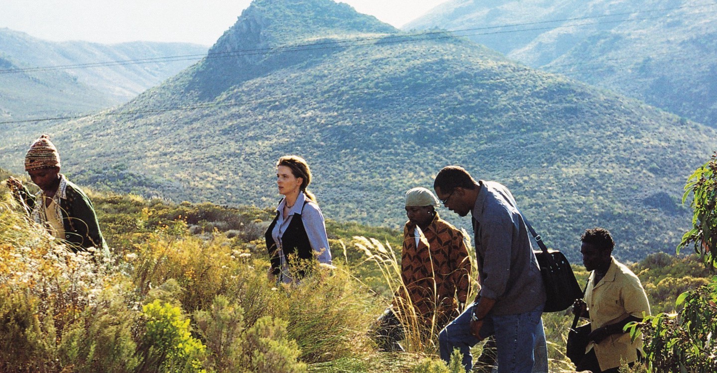 dónde ver película Un país en África