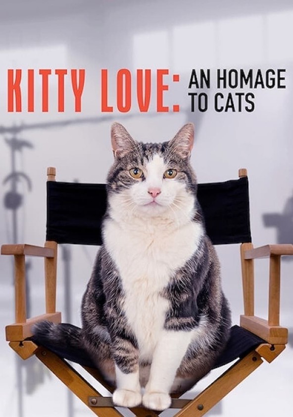 película Por qué adoramos a los gatos