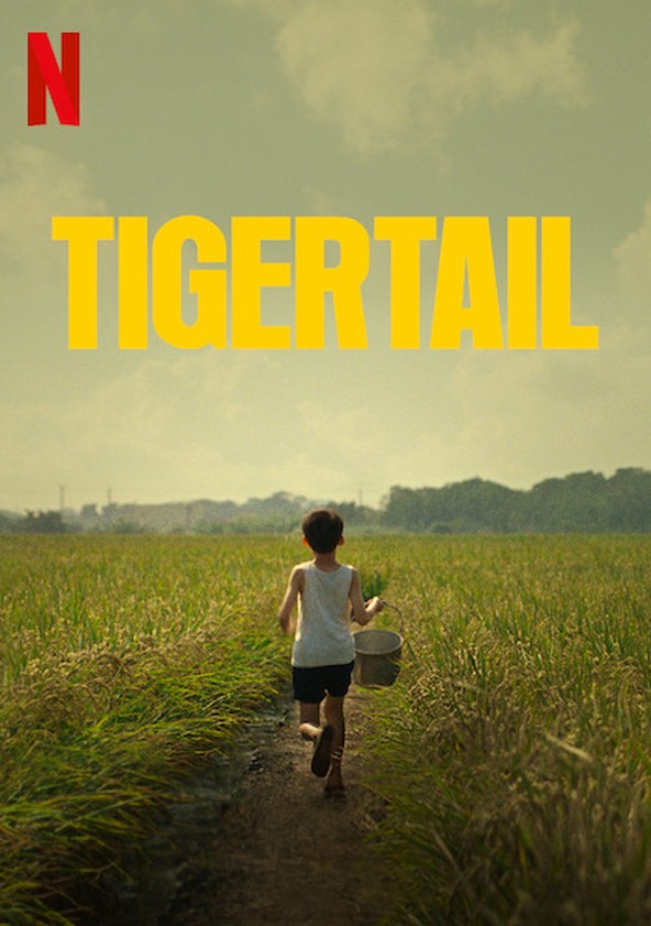 dónde ver película Tigertail