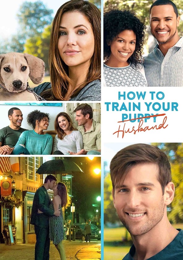 película How to Train Your Husband