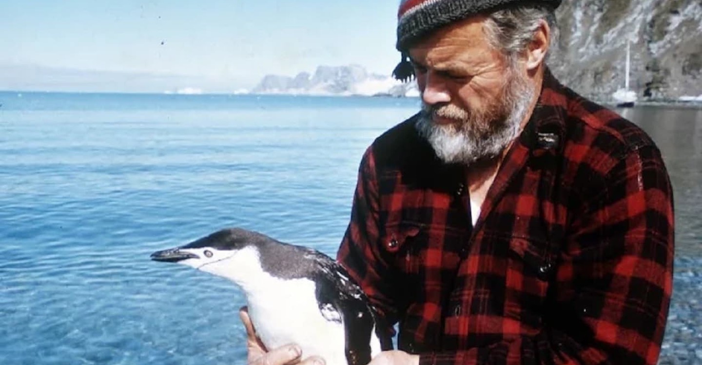 dónde ver película Surcando los mares